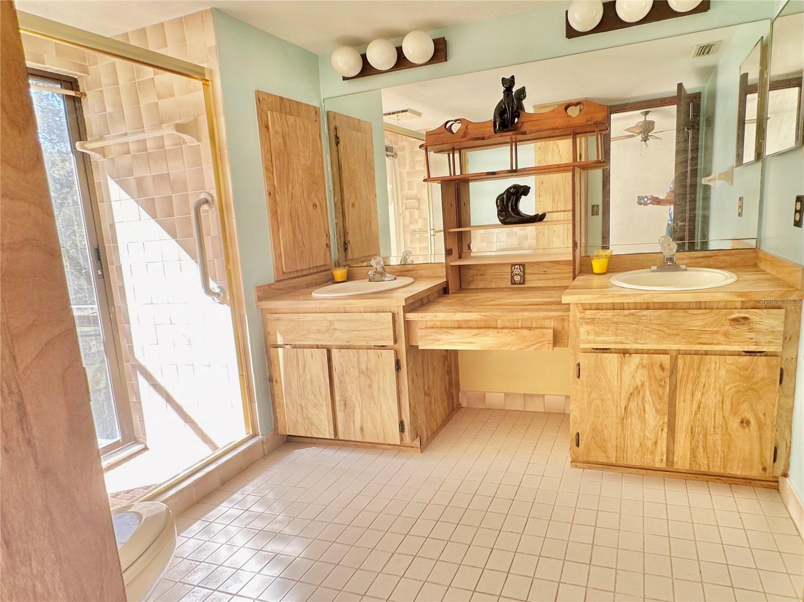 Primary bathroom with double vanity sink area.