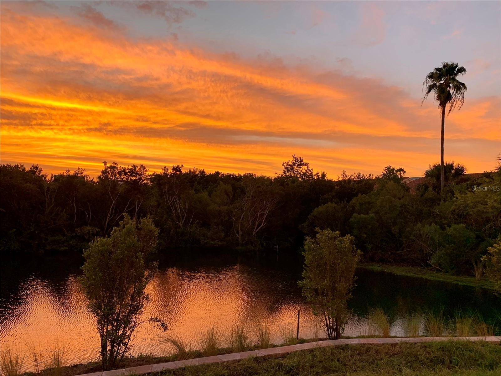 Sunset over the Conservation area and Intracoastal!