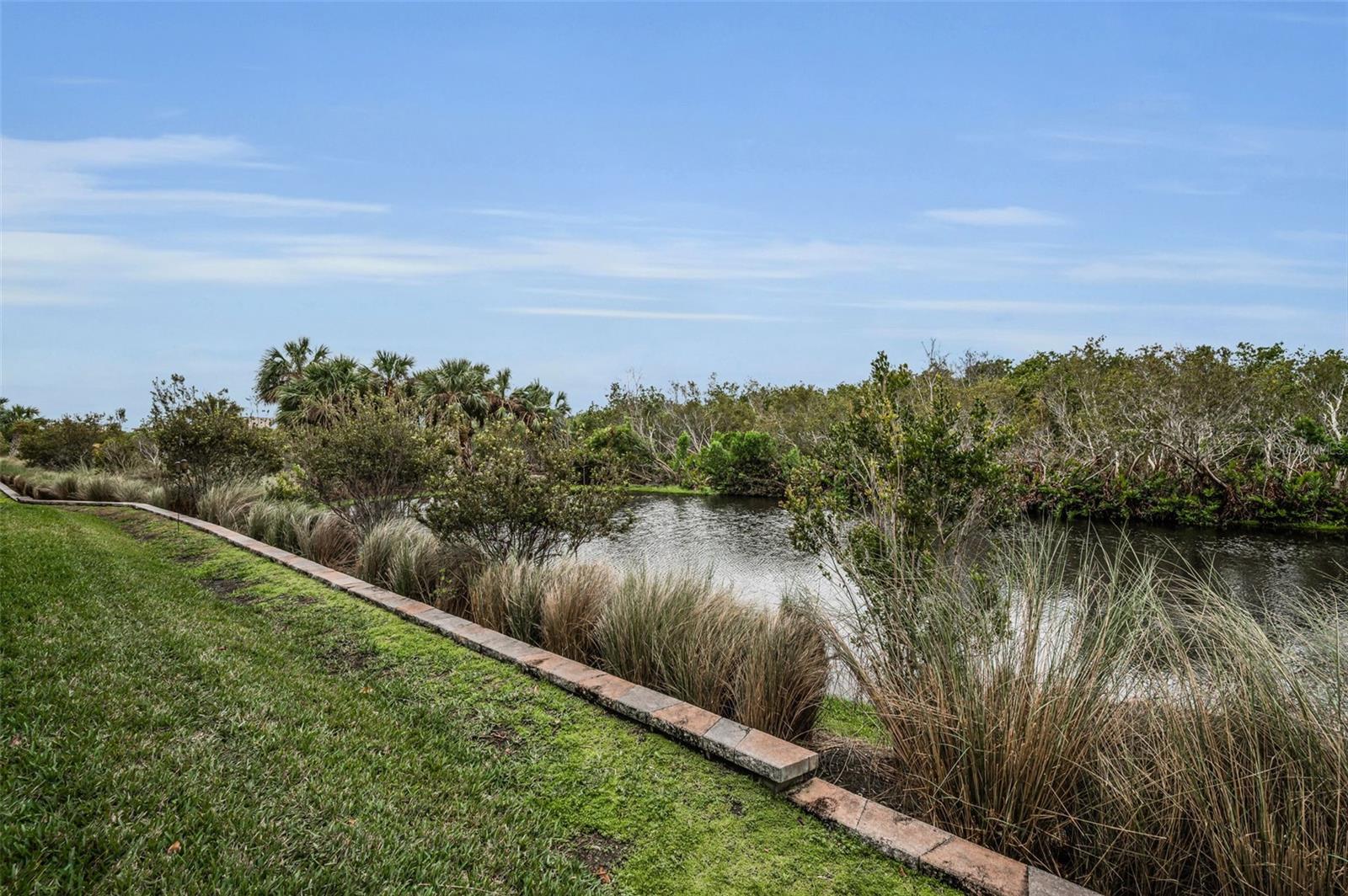 Backyard overlooking the Pond