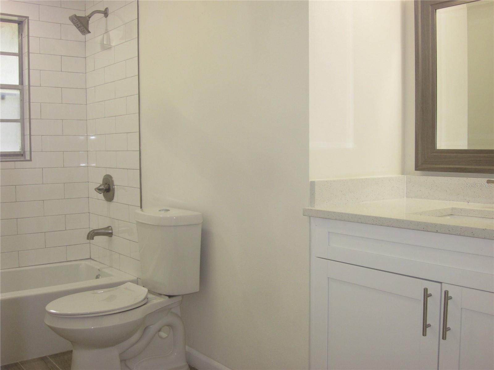 Main House Guest Bathroom - Before Tenant Occupancy