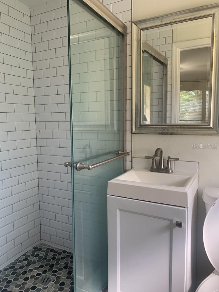 Main House Master Bathroom - Before Tenant Occupancy