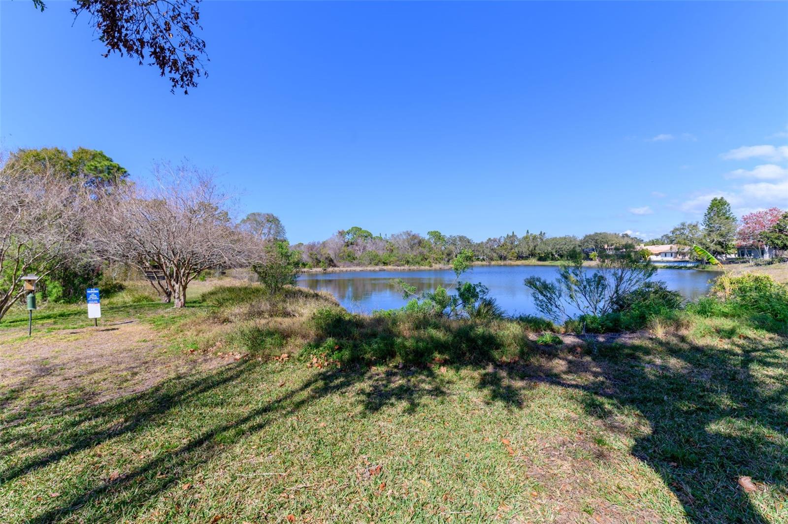 Neighborhood lake, walking trail