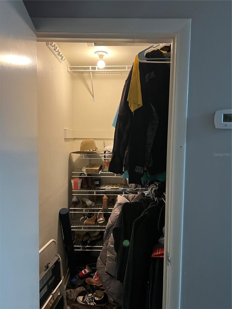 Closet in the hall