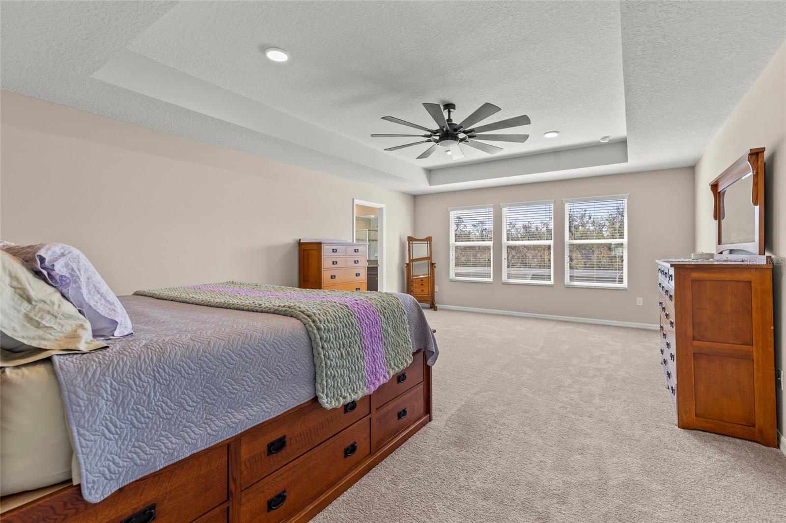 Primary bedroom, with tray ceilings