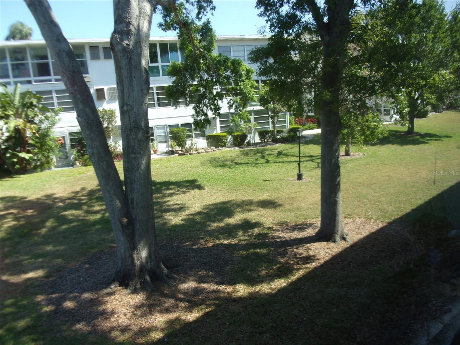 BACK LANAI VIEW