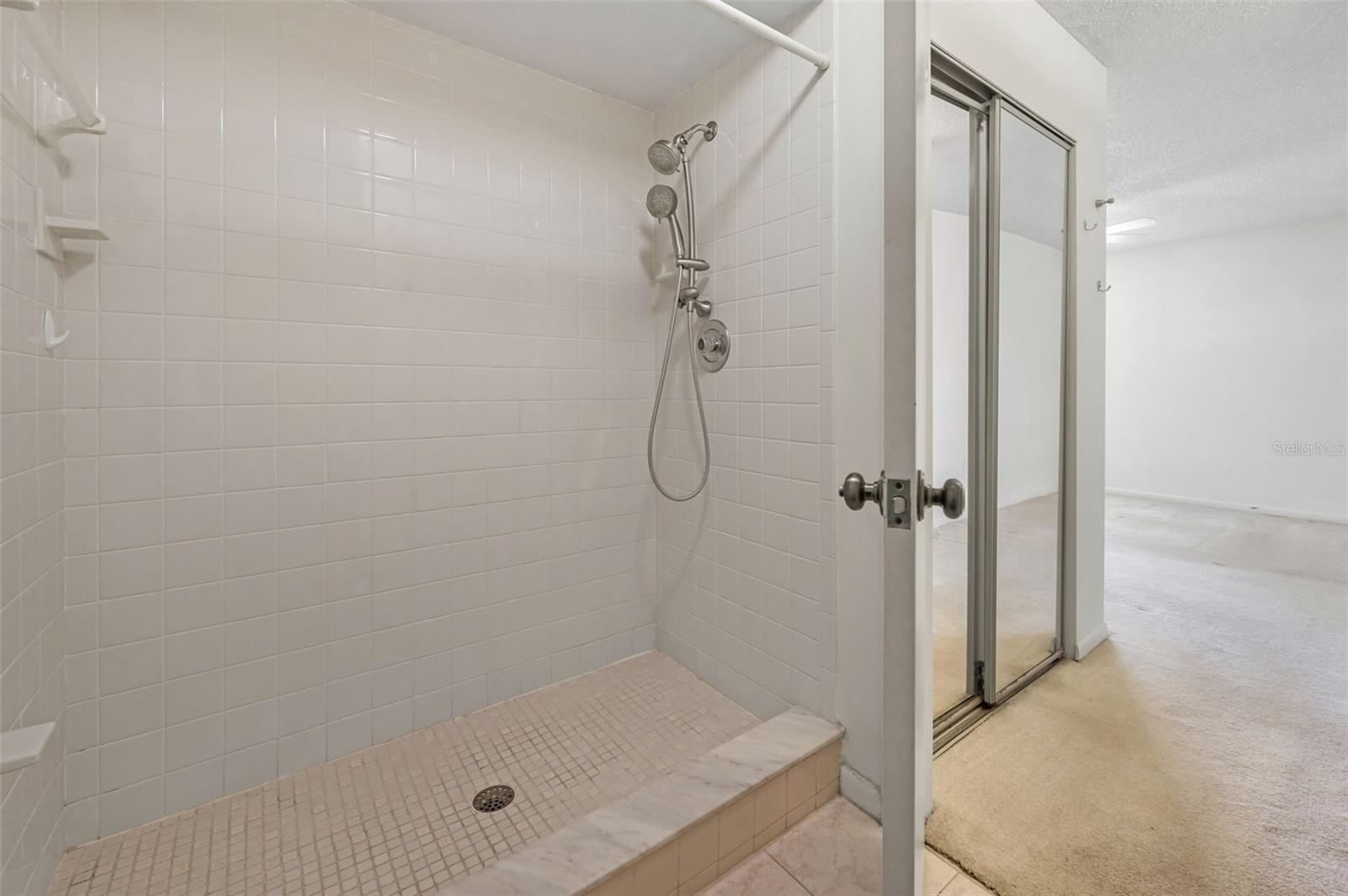 Primary bathroom with walk in shower