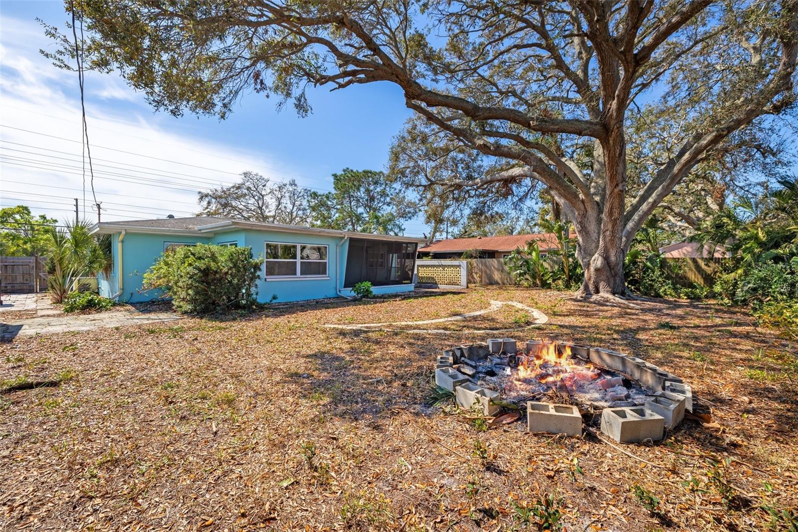 Mature trees and detached storage shed