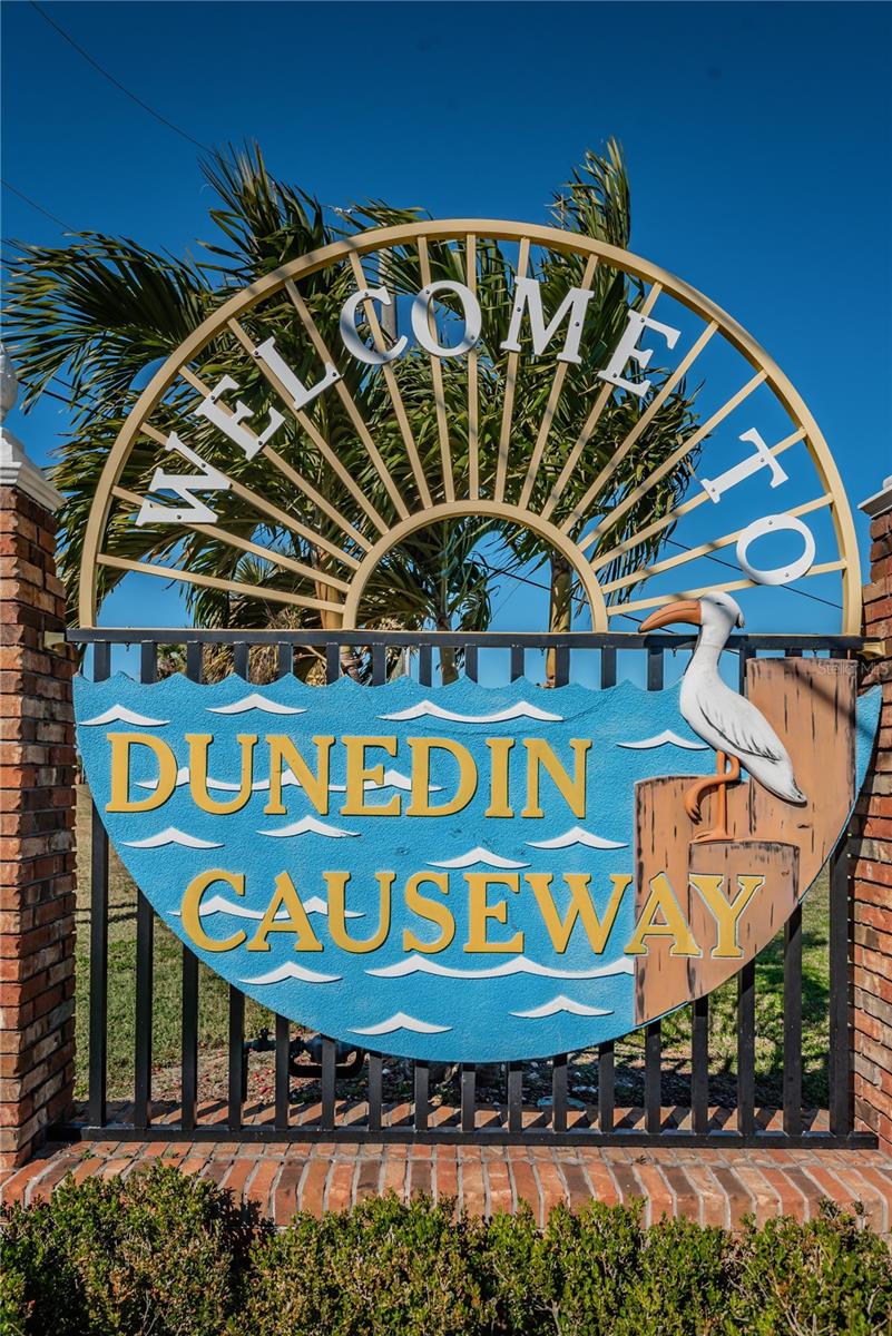 The Dunedin Causeway is just steps from your unit.  Take a walk or bike to the Causeway Beach or Honeymoon Island State Park.