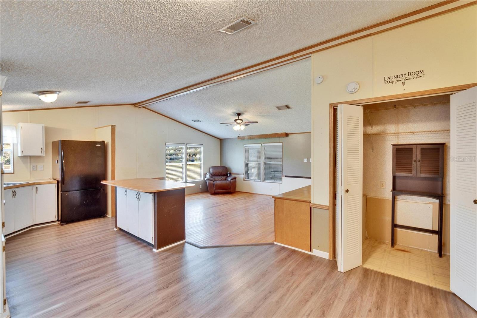 Original Laundry Closet used as an Extra Pantry from Dining Room View