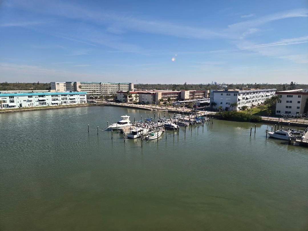 VIEW FROM FLORIDA ROOM - DOCKS