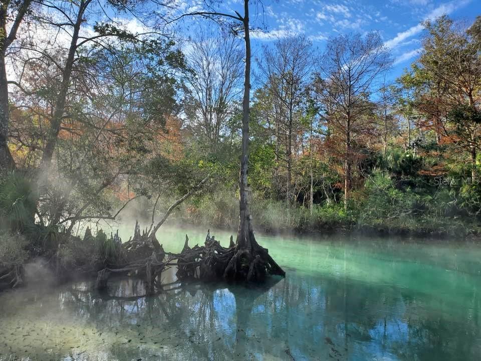 Gorgeous Weeki Wachee River