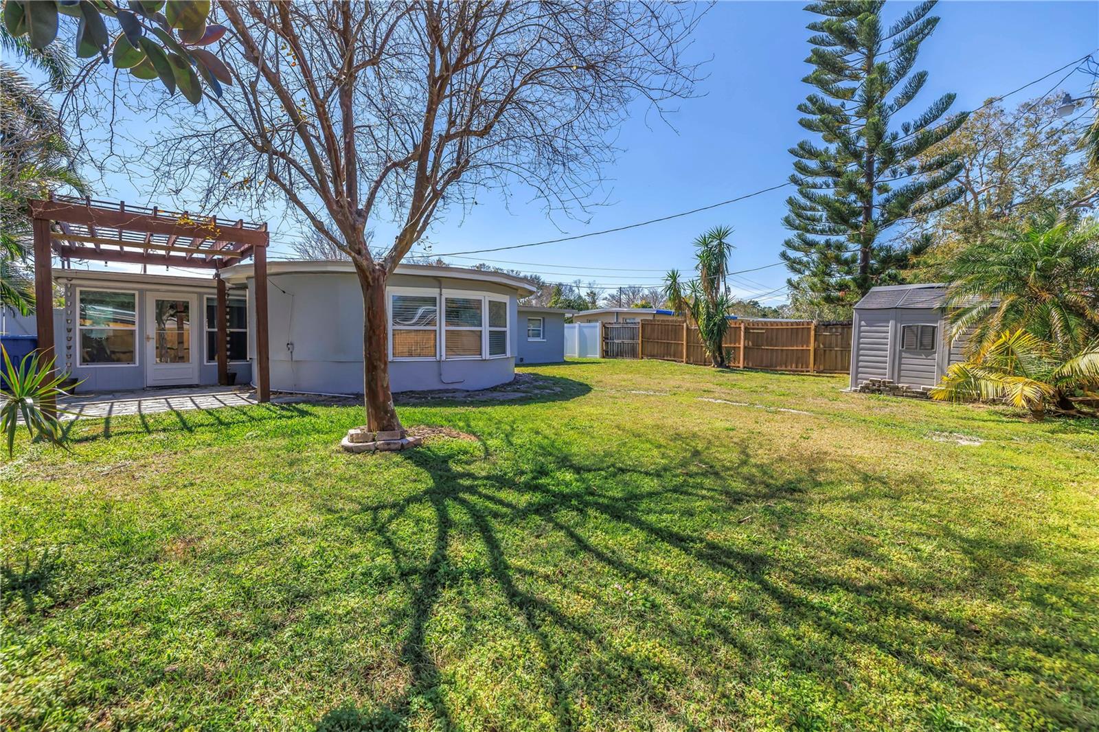 Spacious back yard.