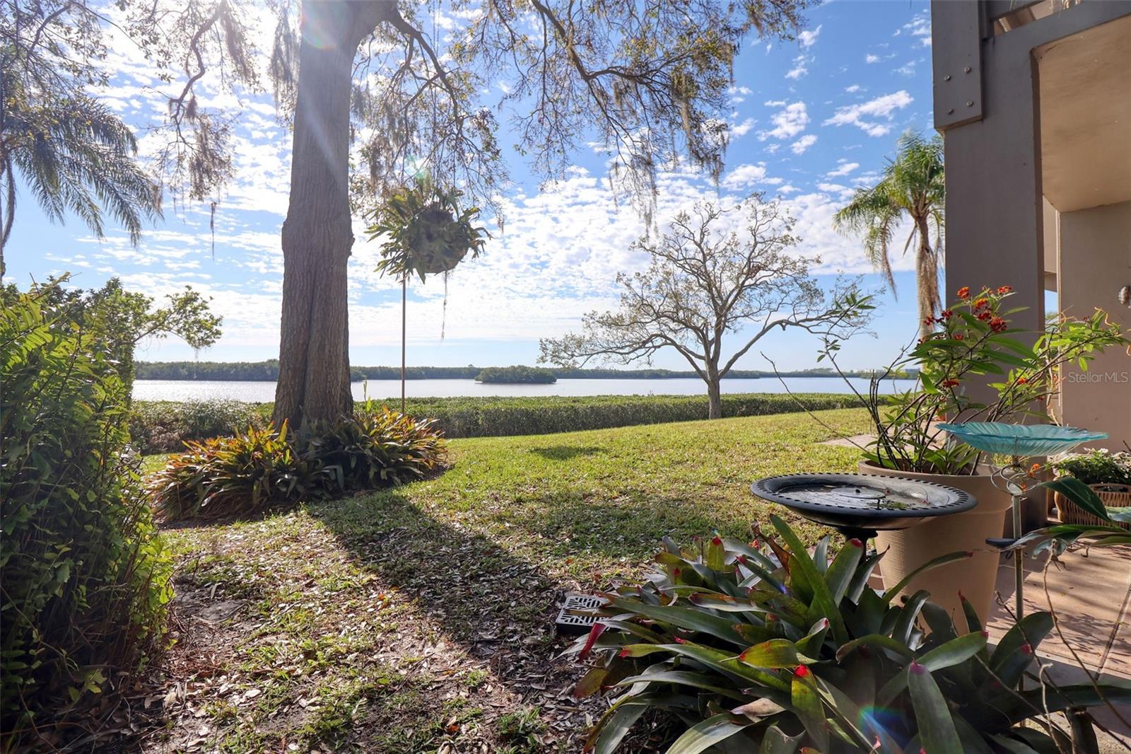 Large Side Yard