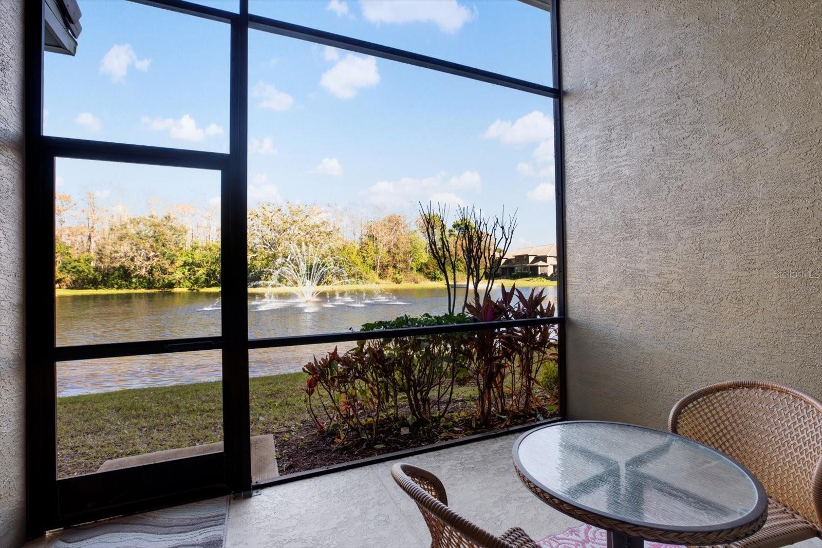 Screened patio with pond view.