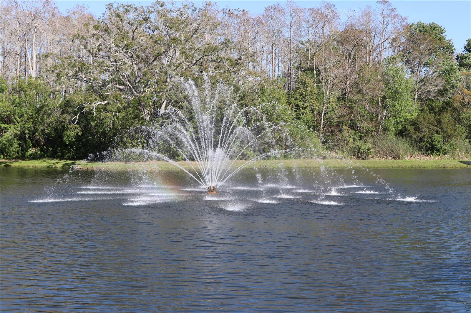 Spectacular fountain view from your new home!