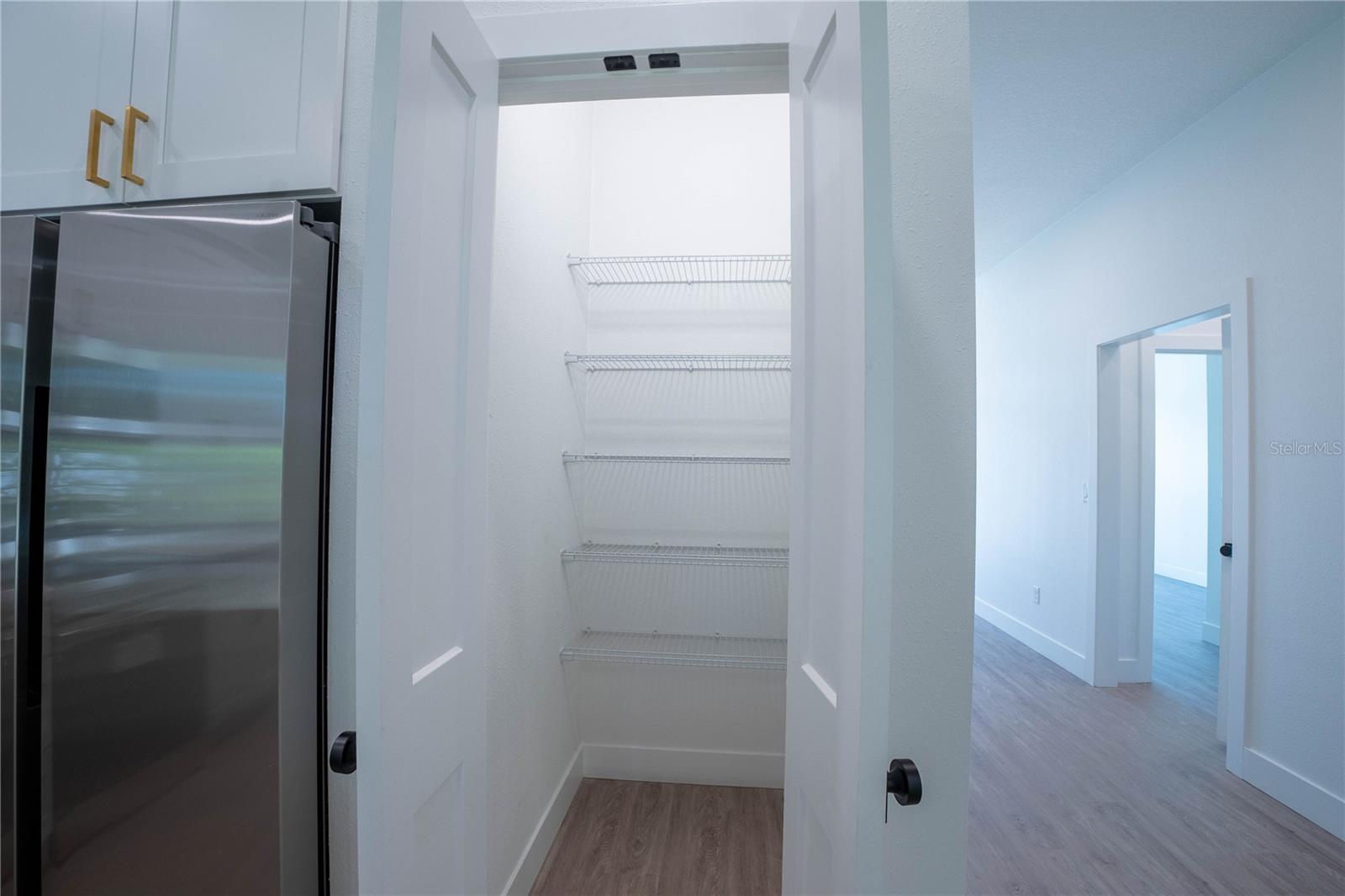 Kitchen Pantry