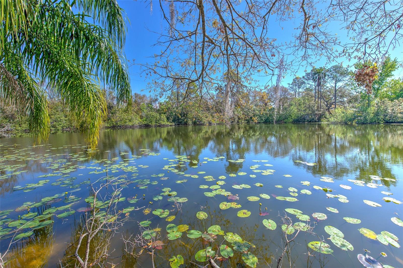 Imagine the beautiful sunrises over this pond