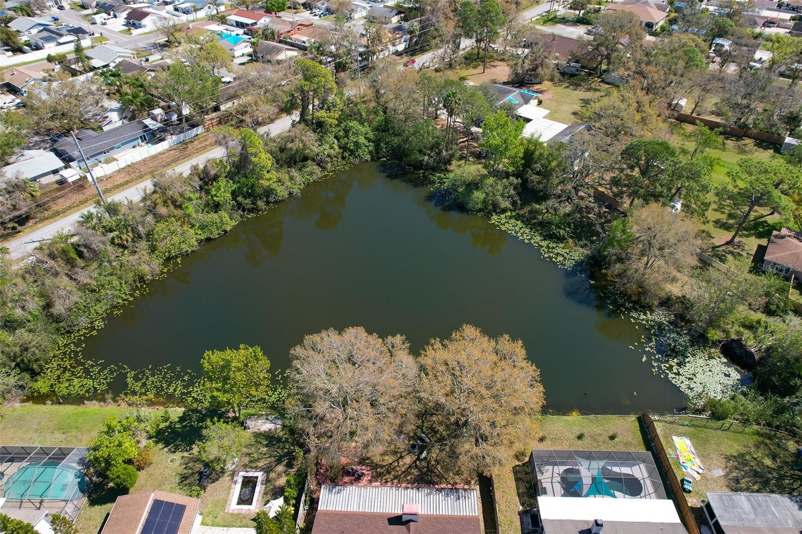 Aerial view of pond