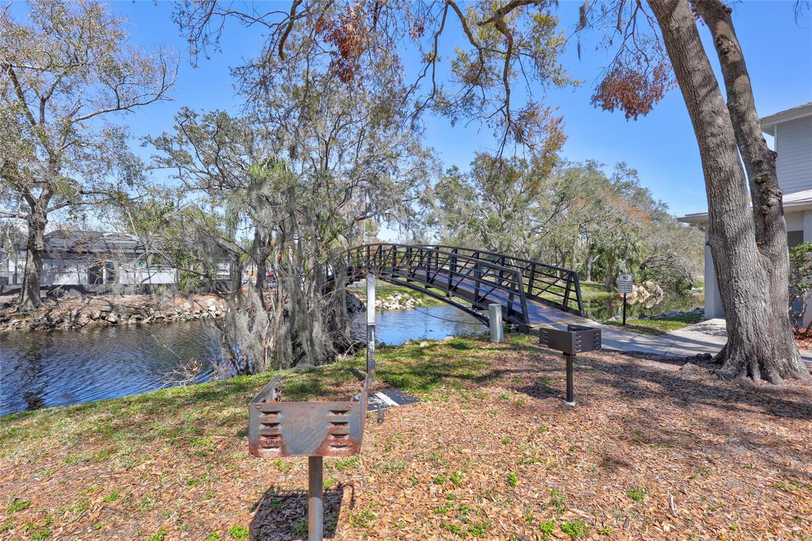 Pond view