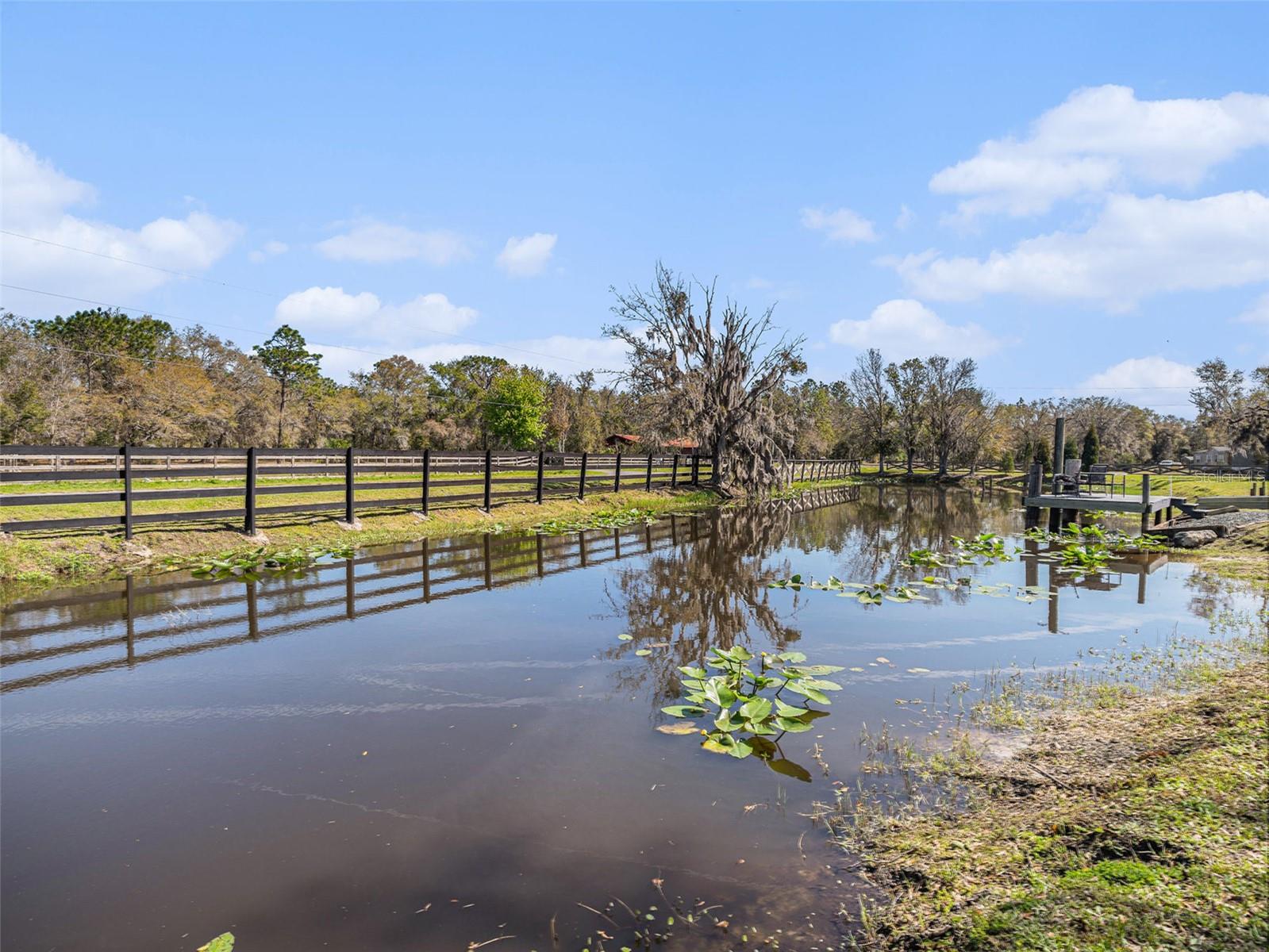 Pond at Front of Property