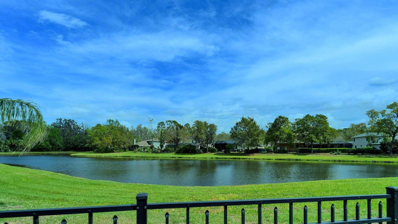 Relaxing and PEACEFUL 2.7 acre LAKE Views