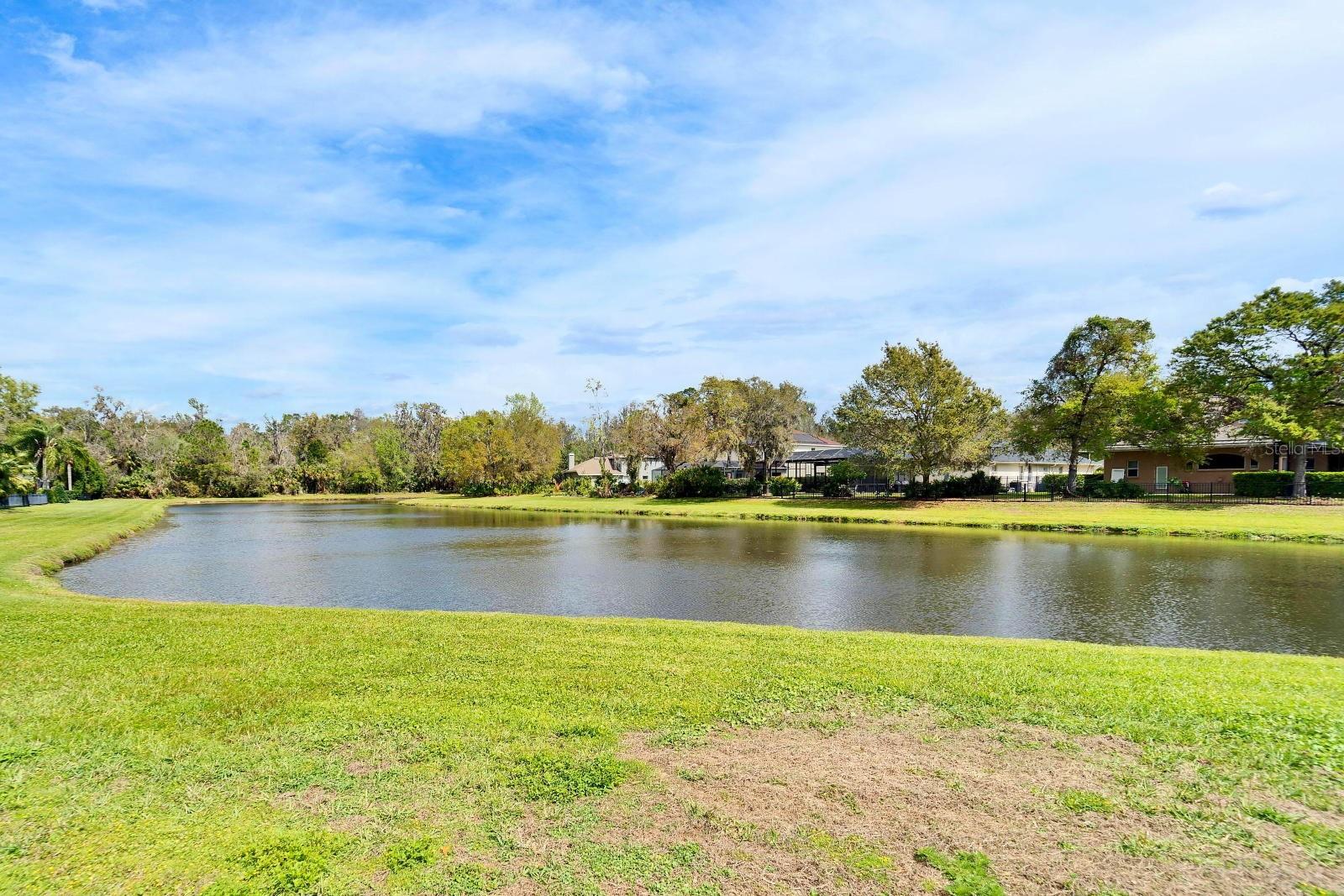 Lake/Pond