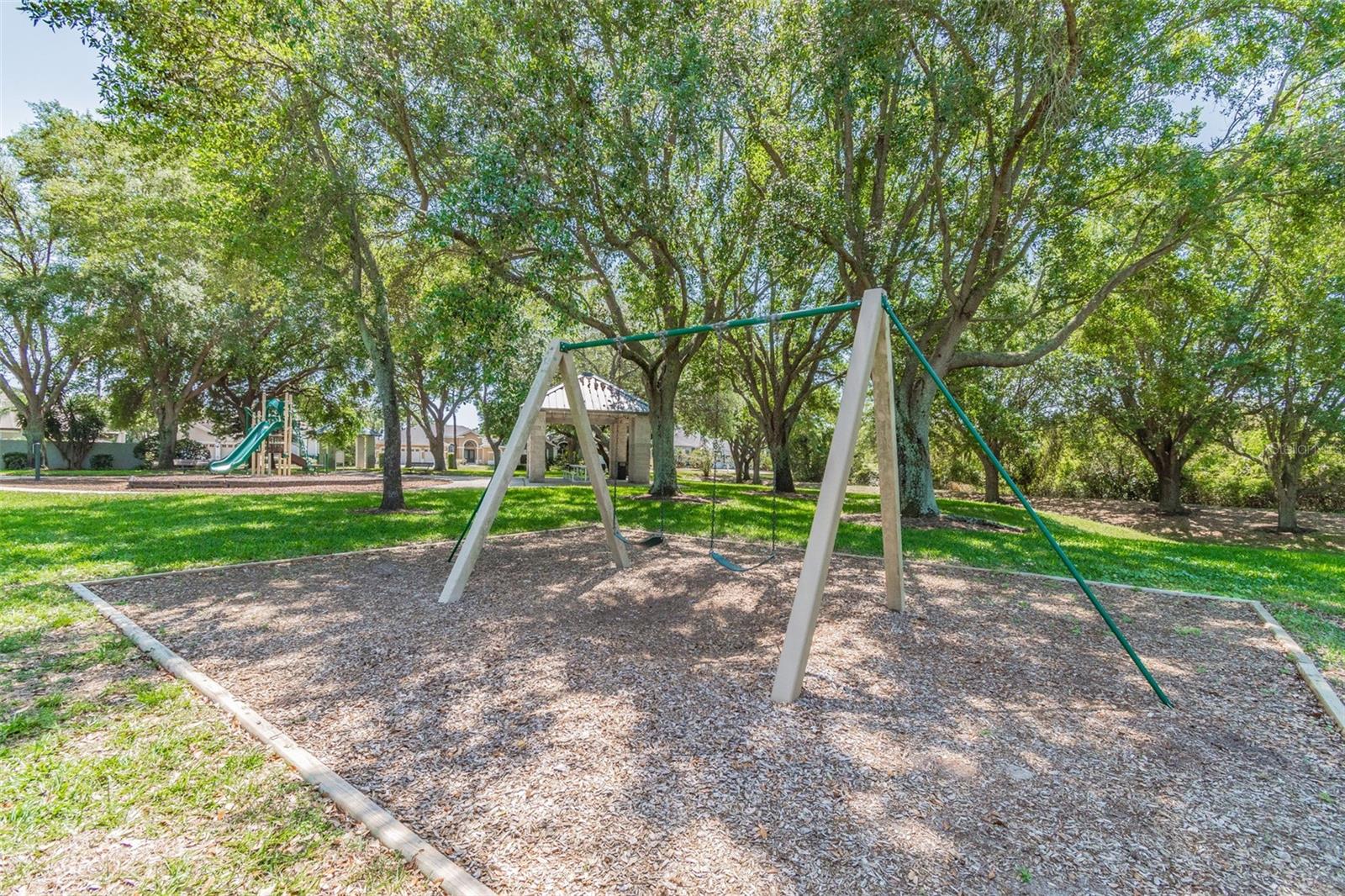 Play time under the oaks