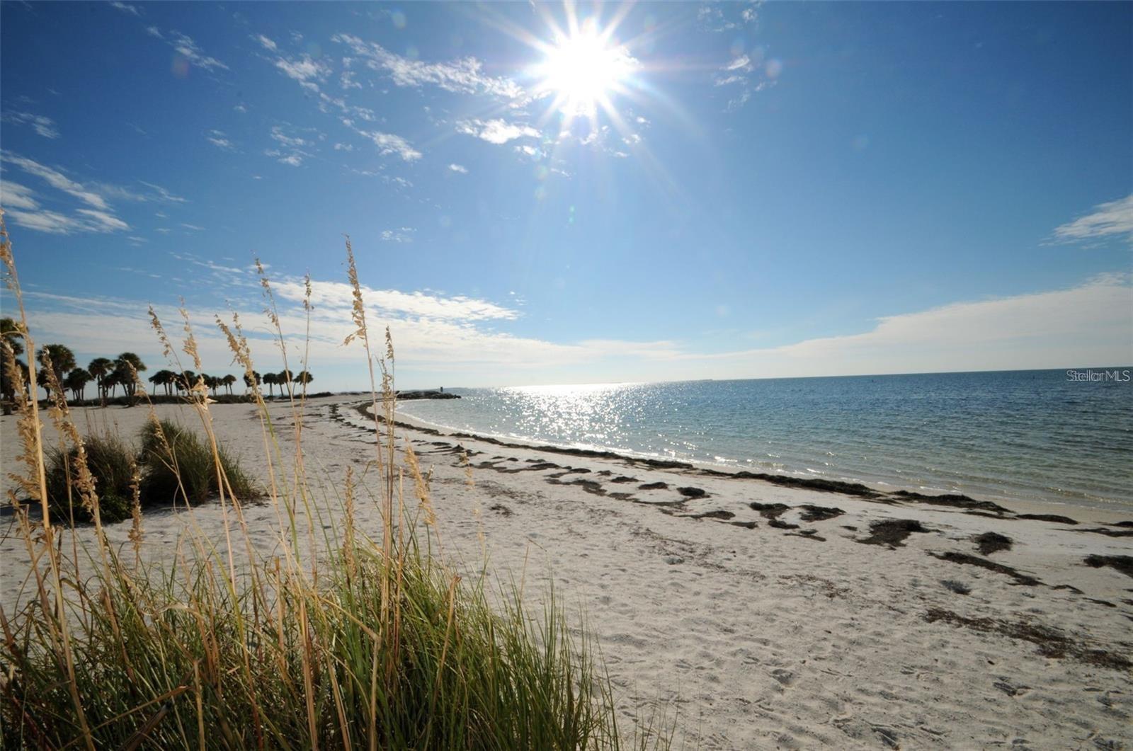 Fred Howard Park Beach