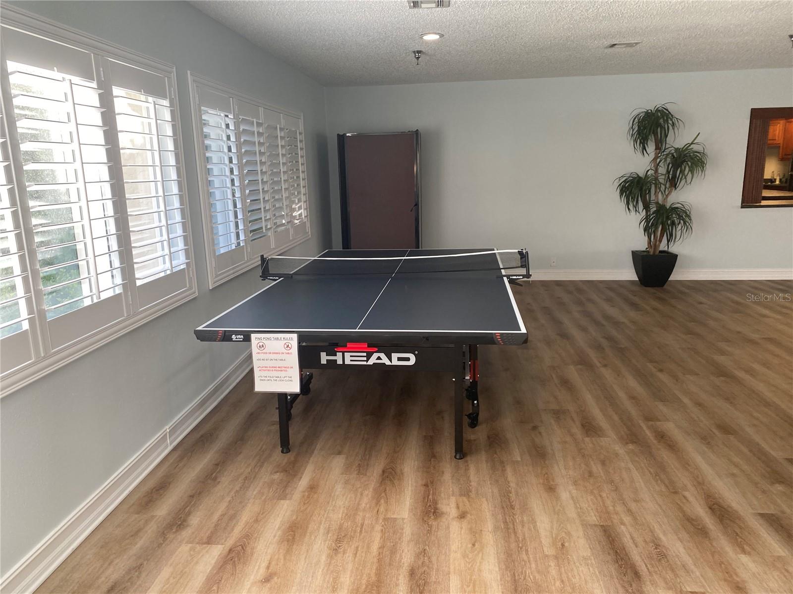 table tennis in the clubhouse