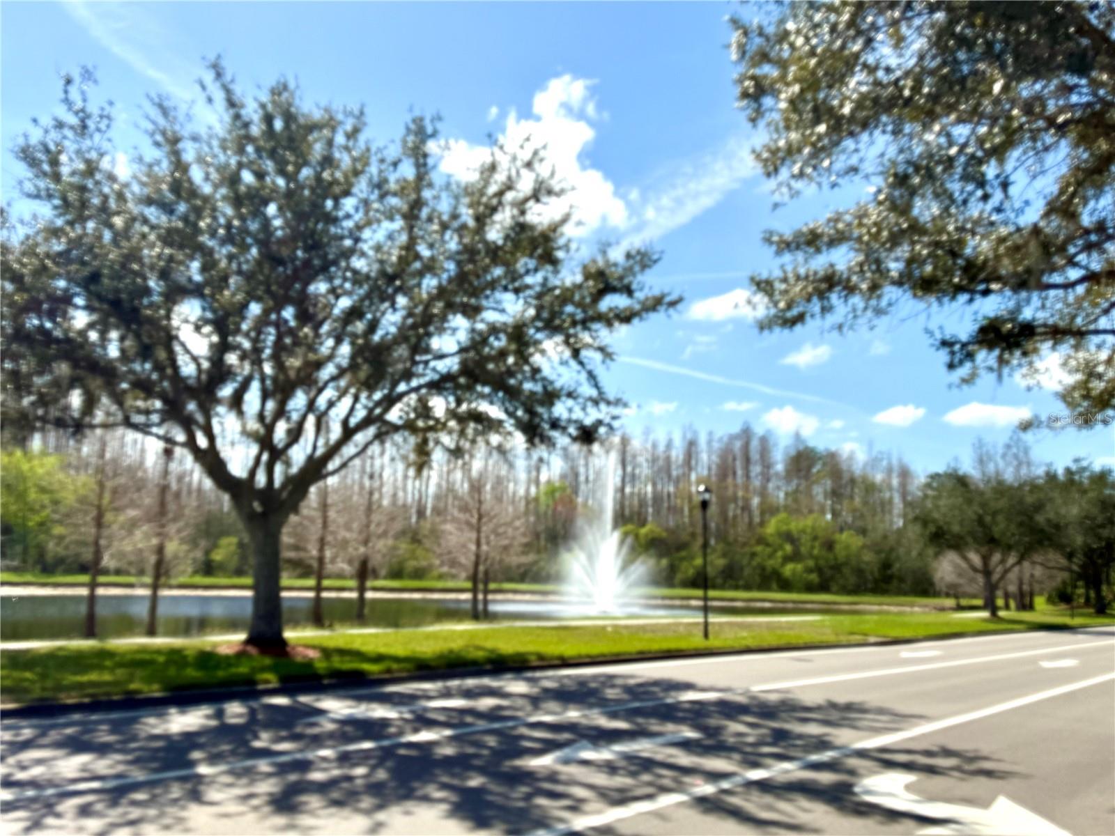 Community Fountain by the Community Gate Entrance