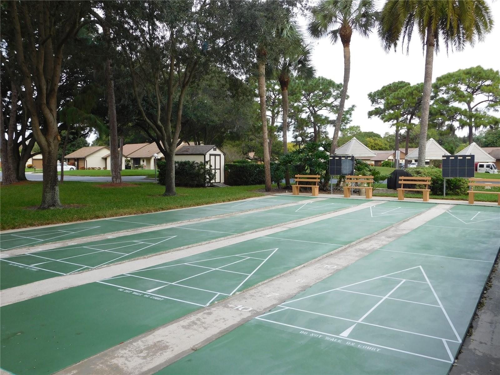 Shuffleboard At The Clubhouse