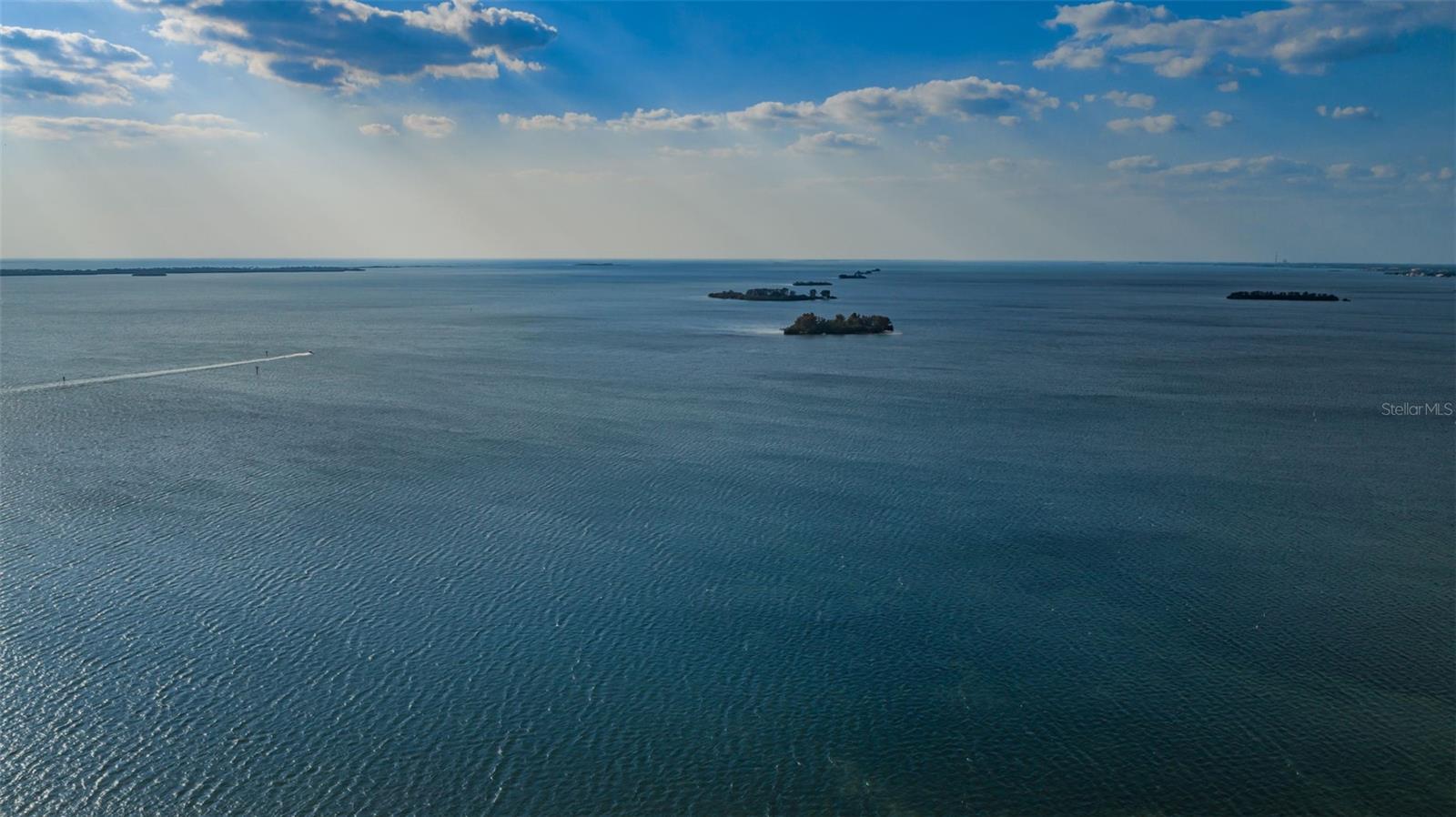 Dunedin Causeway View