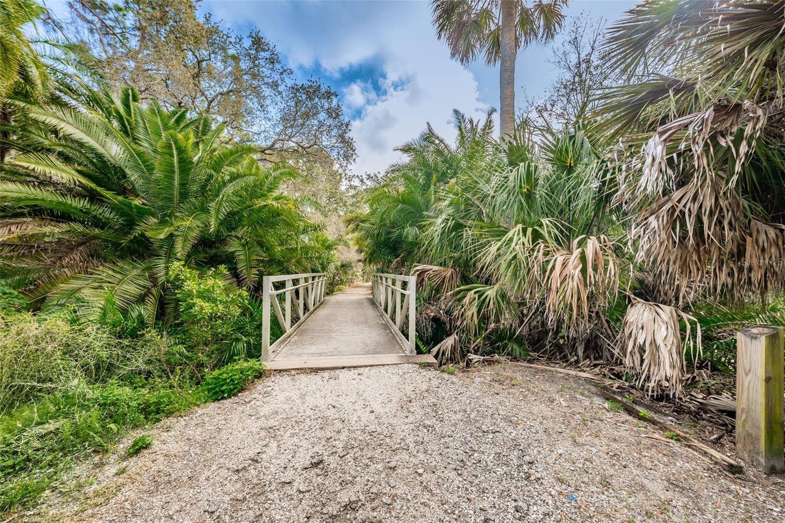 Hammock Park