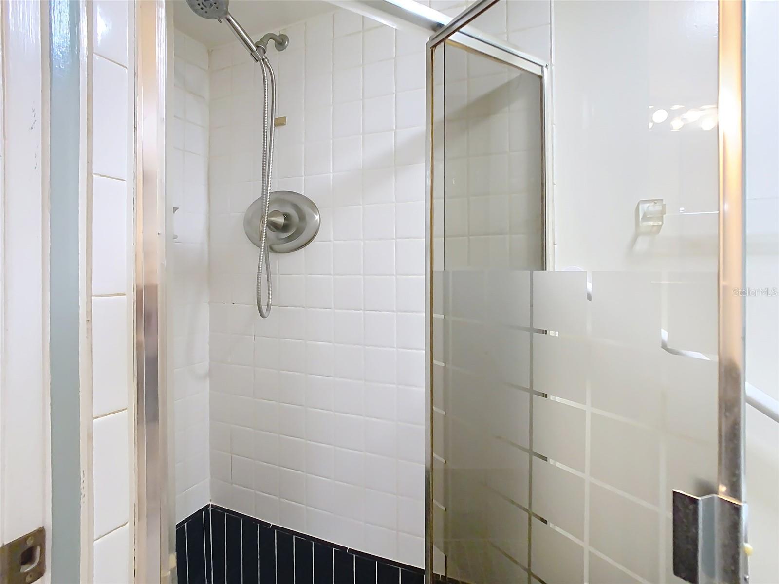 Primary ensuite shower