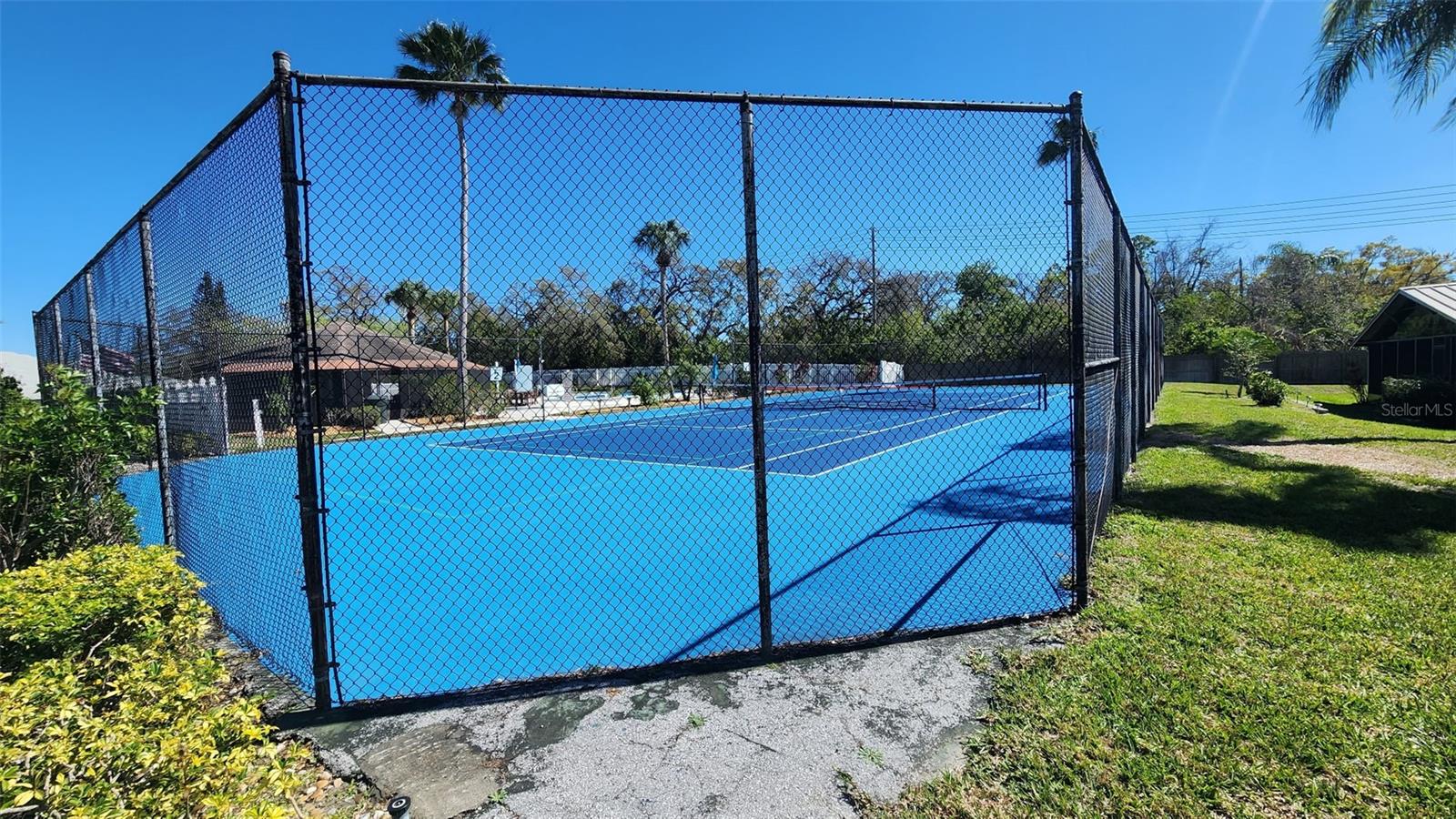 Pickleball court/Tennis