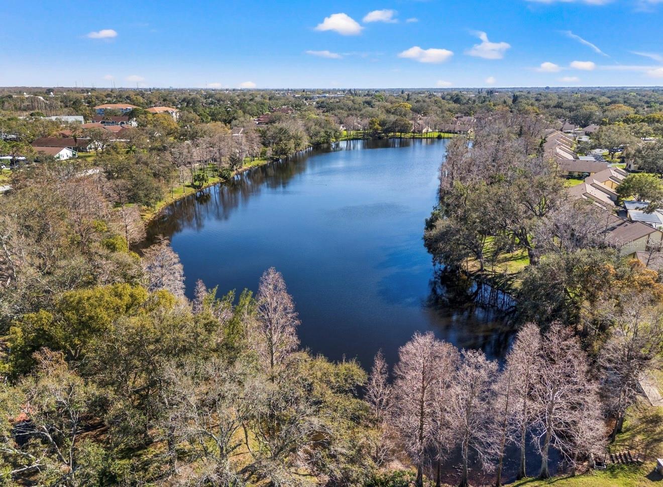 tranquil lake views