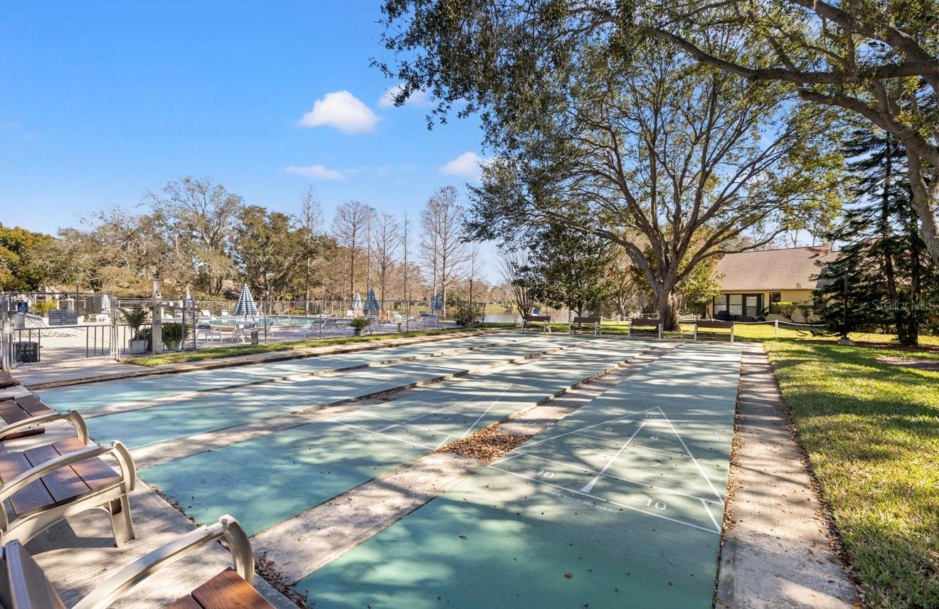 Shuffleboard