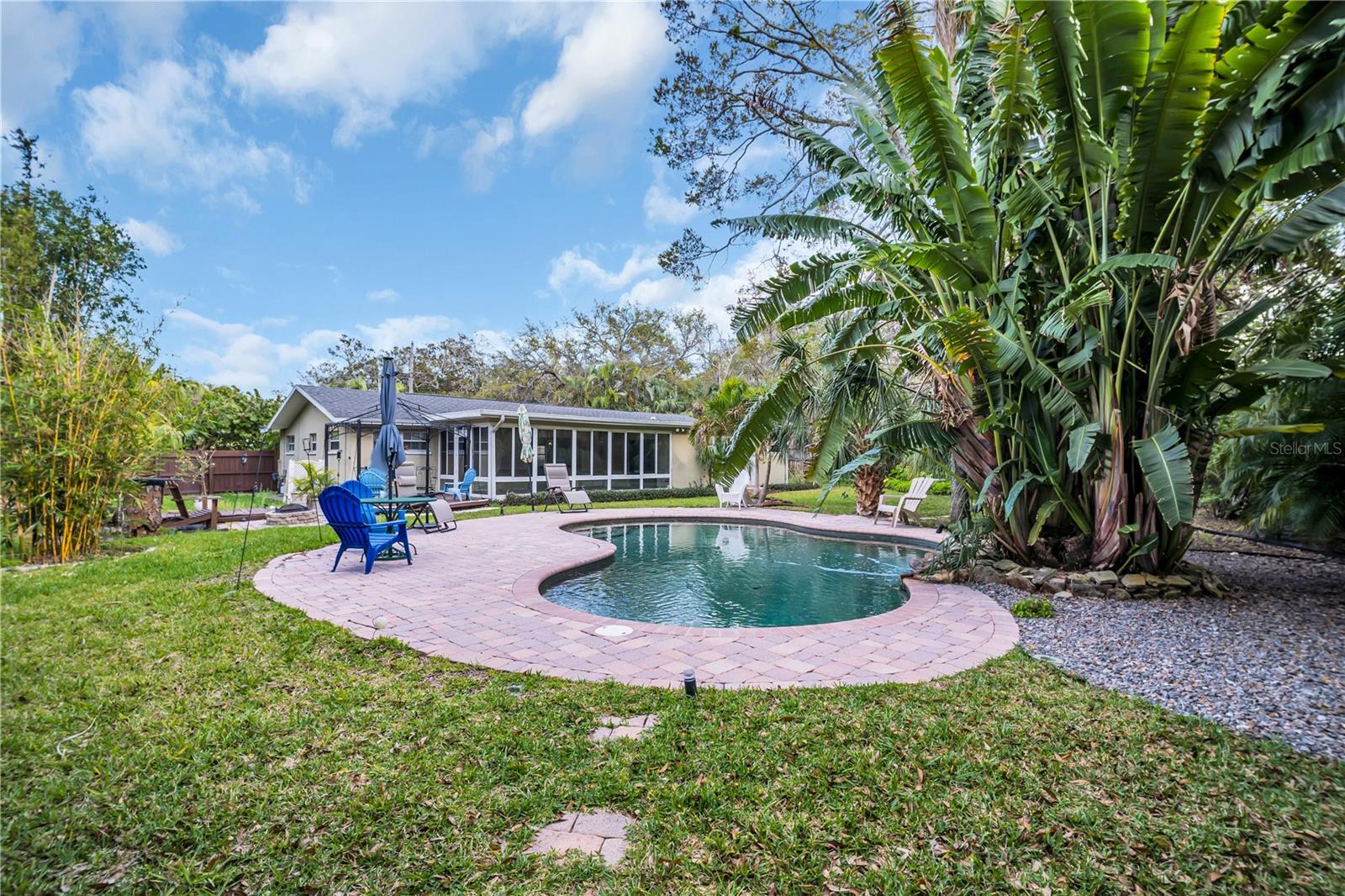 Pool and large backyard