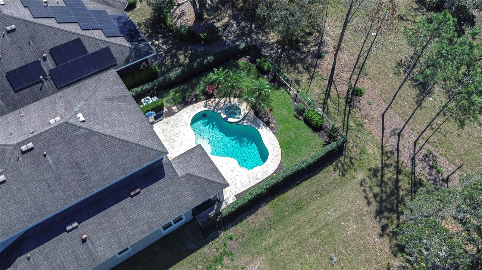 Dive into paradise with this stunning backyard oasis, featuring a sparkling pool and lush greenery.