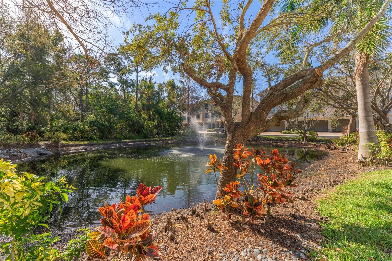 pond across the road from the front of home