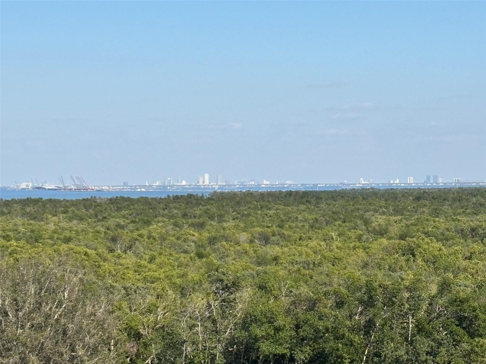 View from the end of the hallway towards Tampa.