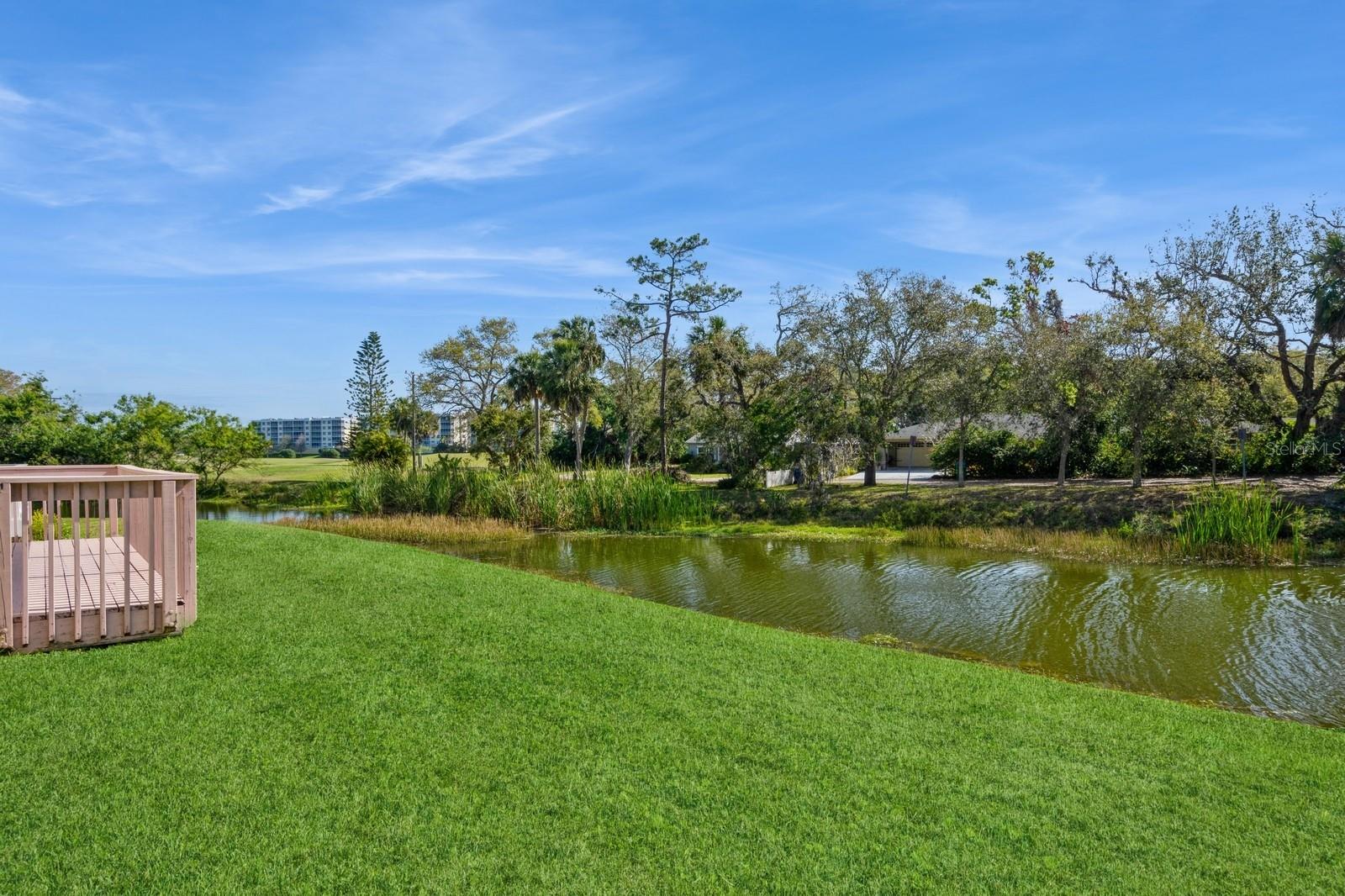 Pond views