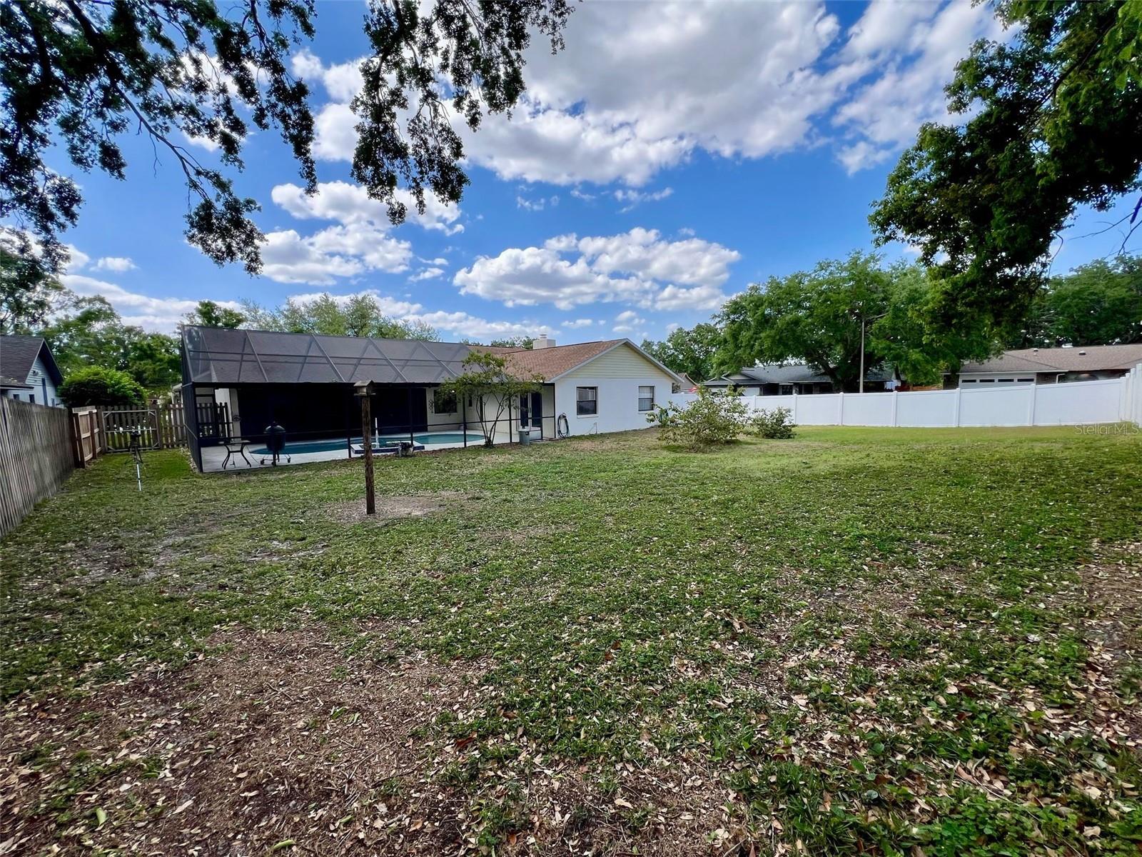 Back yard