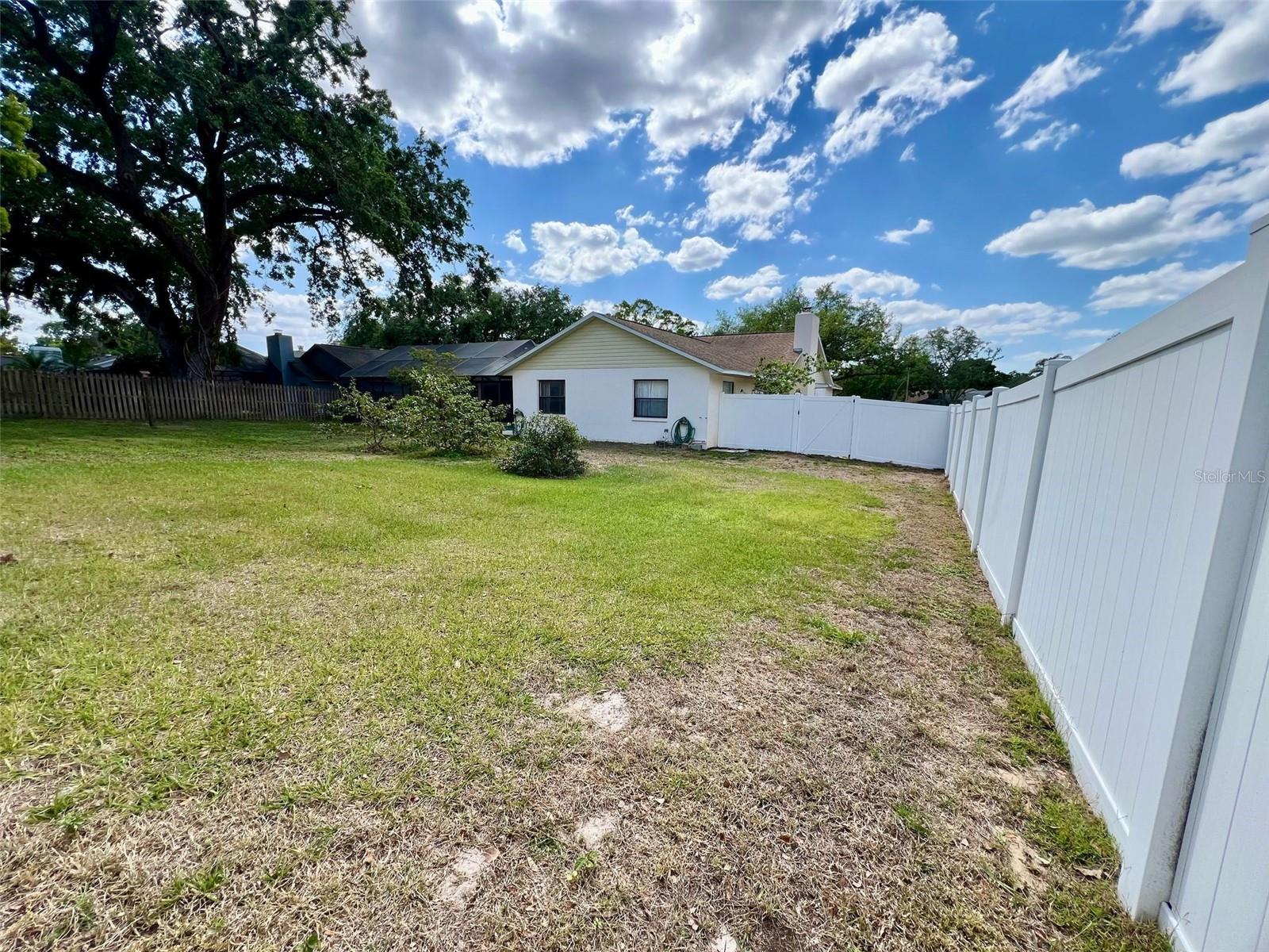 Back Yard