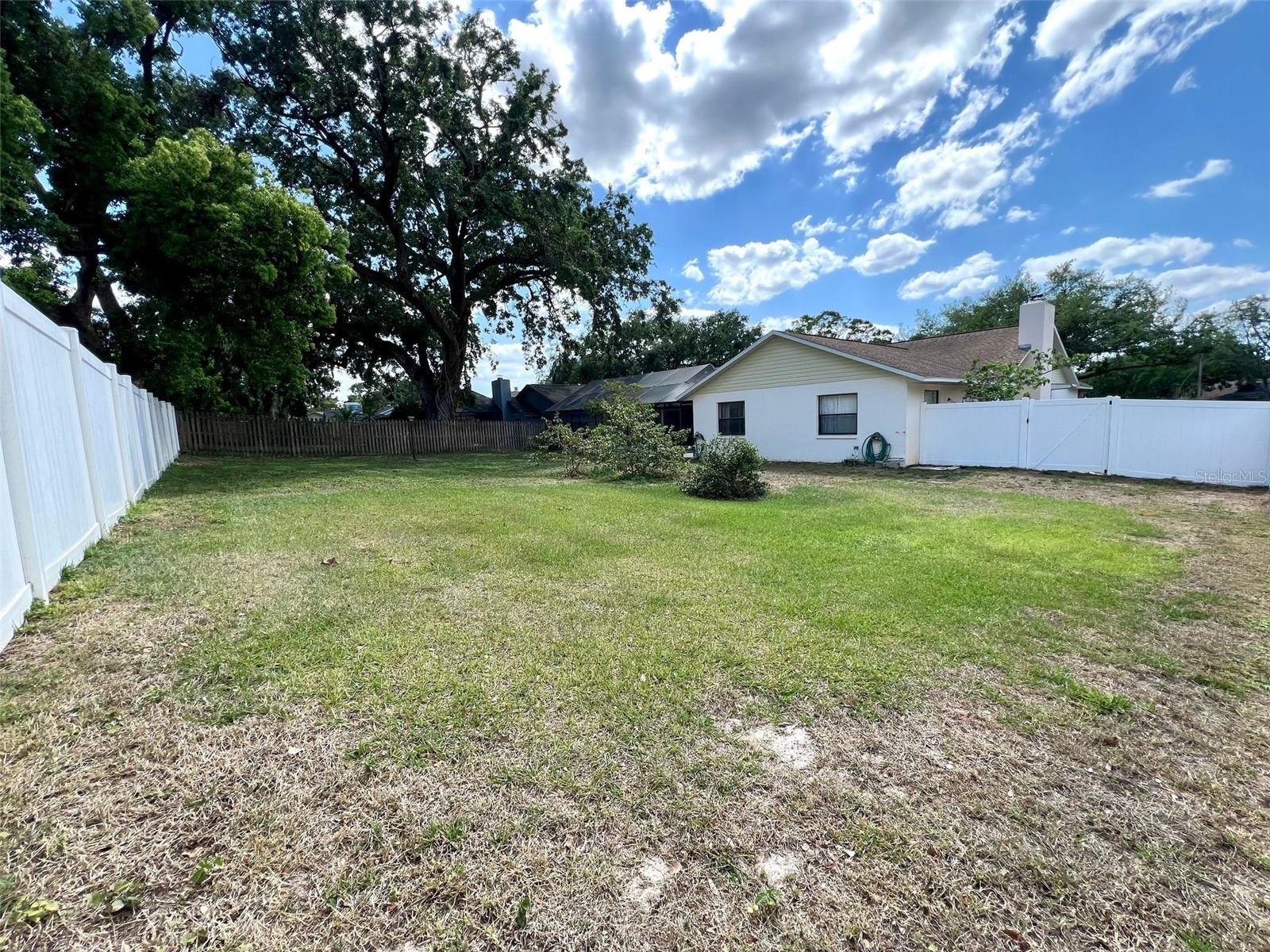 Back Yard