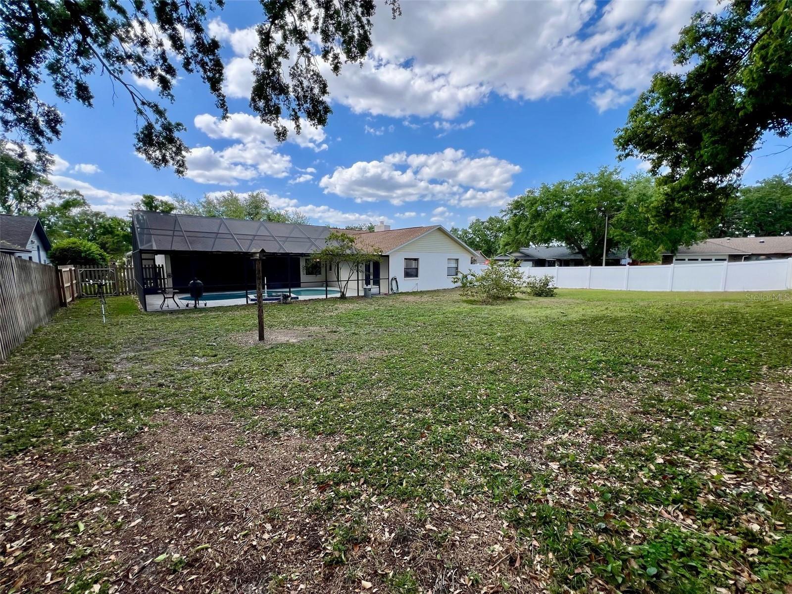 Back Yard