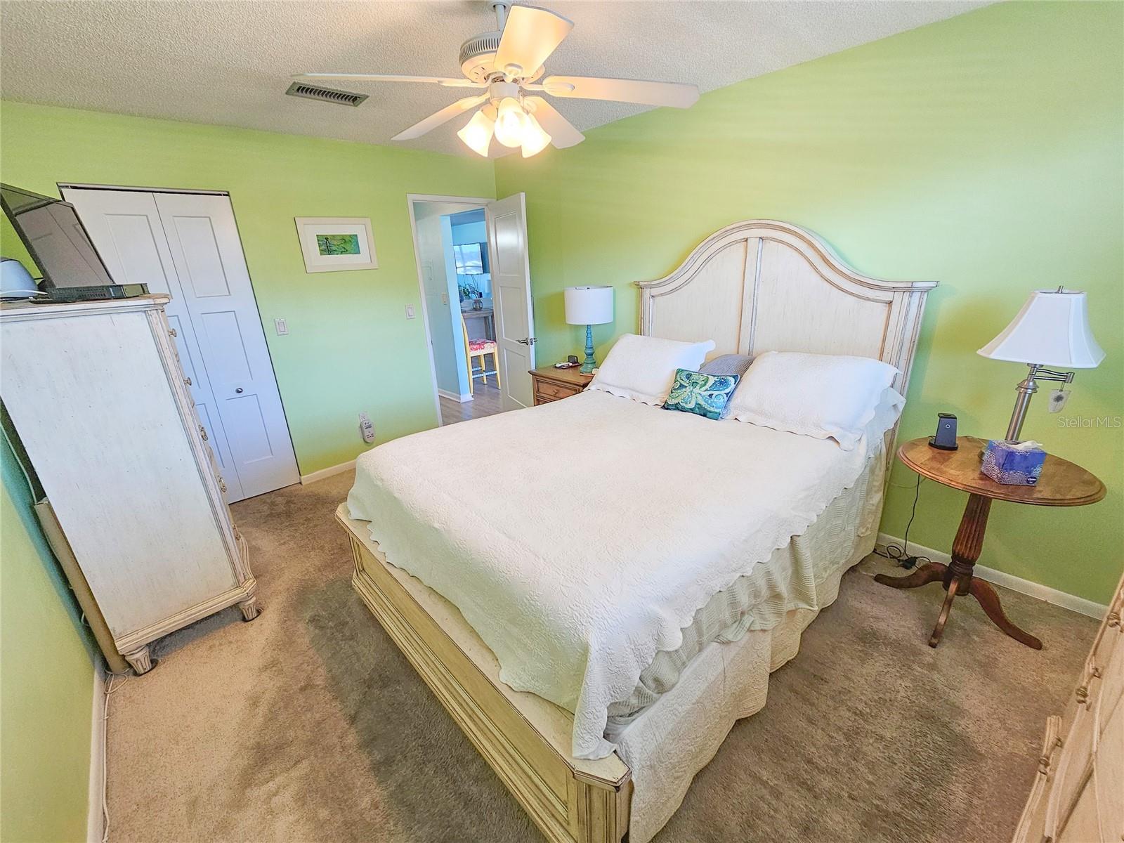 Primary Bedroom w/ Walk-in Closet.