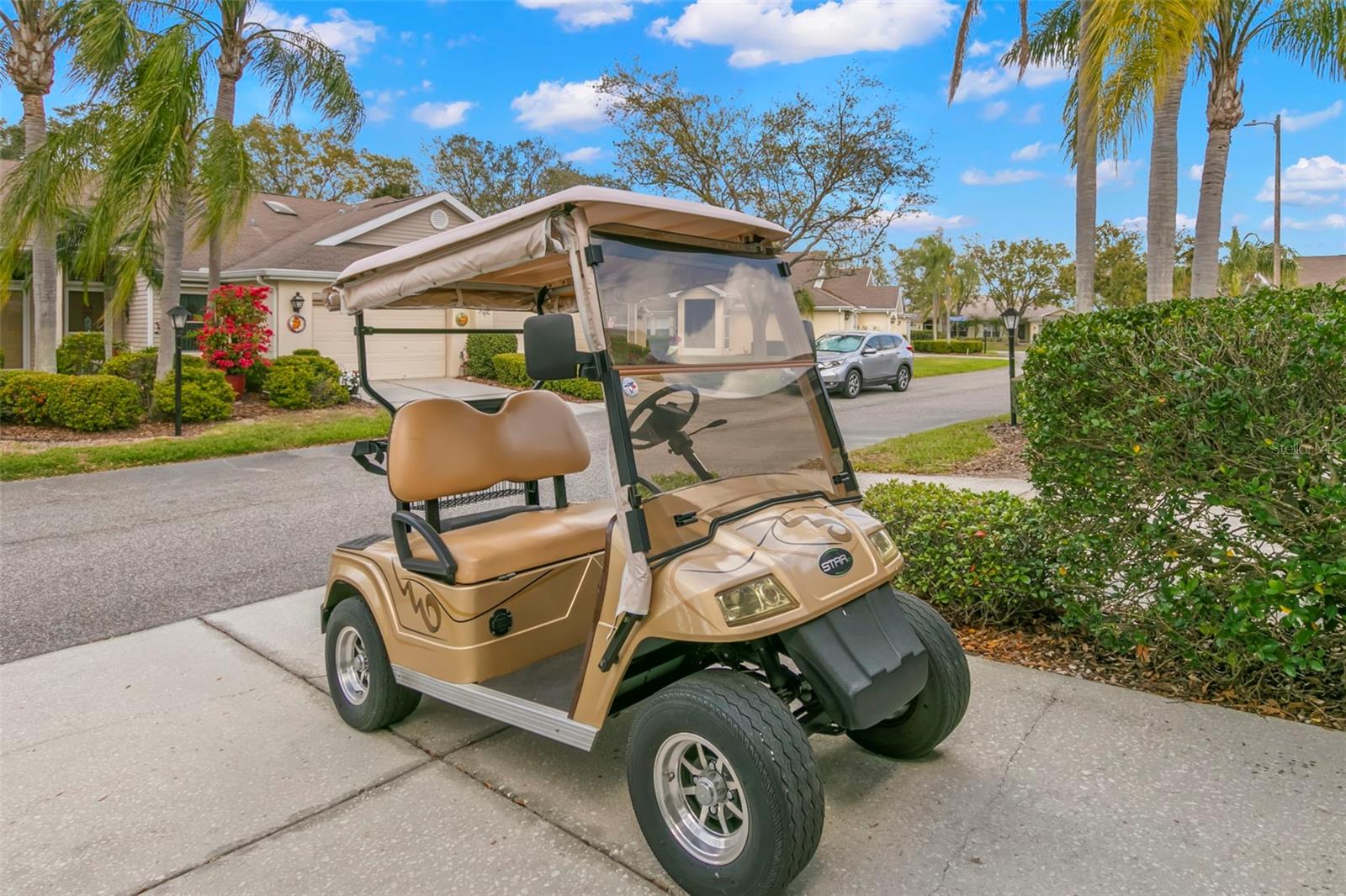 Golf Cart - Available!