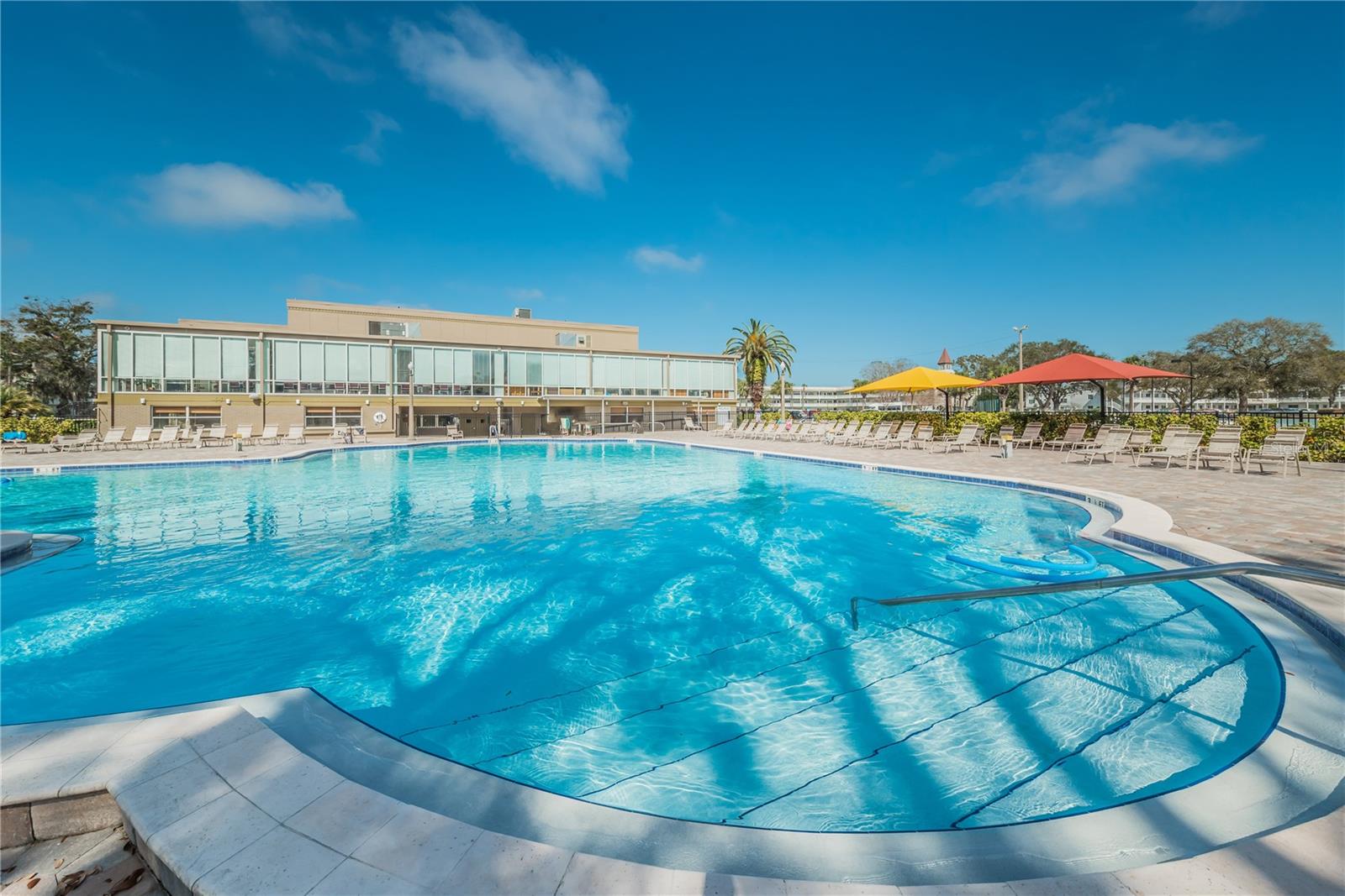 Pool and patio