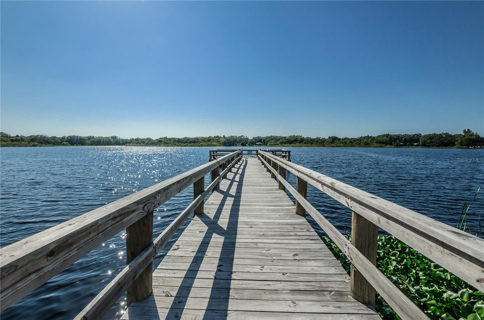 Community Dock